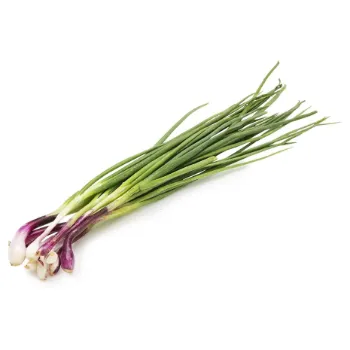 Fresh Onion 